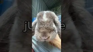 iM bAtMaN
