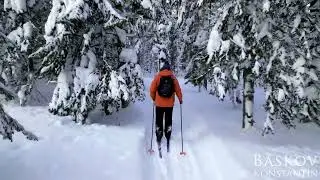 Волшебная сказочная зимняя ТАЙГА. Лыжная прогулка до Рудниковки