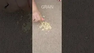 Mebeltex: Джем-тест Grain