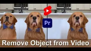 Remove Object from Scene Premiere pro