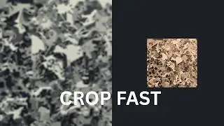 How I Quickly Crop Images in Inkscape and PowerPoint Tips