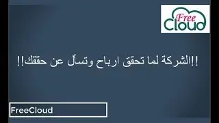 الشركة لما تحقق ارباح وتسأل عن حققك