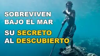 The BAJAU: The people who evolved to live at sea