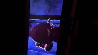 *Spoilers* Sonic 3 Final Scene! New character!!!