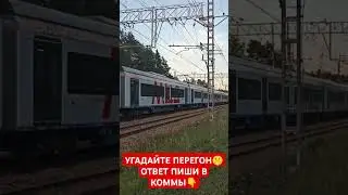 ИВОЛГА 4.0 ПРОЕЗЖАЕТ МИМО #asmr #поезд #train