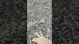 7 июля 2024 г.