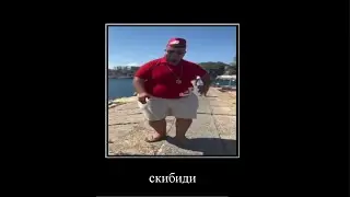 скибиди доп доп, но это демотиватор