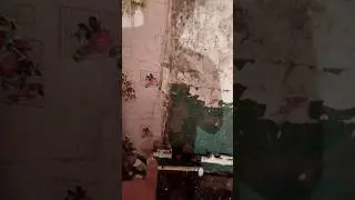Жёстко меня наКрыло когда я это увидел 🙈🙊МОНТАЖ ЧЕРЕЗ Ж*ОПУ
