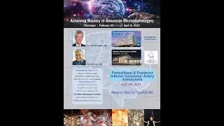 Pericallosal & Posterior Inferior Cerebellar Artery Aneurysms