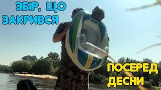 7*Я ЧЕРНІГІВ | ЗАПЛИВ НА ПІДТРИМКУ ЗБОРІВ ДЛЯ ЗСУ | ПЛЯЖІ ДЕСНИ ВІД ПЕРЕПРАВИ ДО ЗОЛОТОГО | ВЛОГ