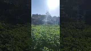 люди гибнут за металл