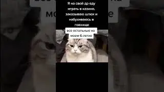 Мемас с котиком