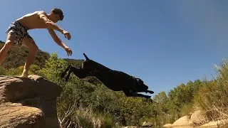 Enjoying the Creek with "Birdie" our GSP