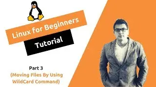 Linux for Beginners Part 3 (How To Use WildCard Command)