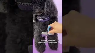 Что делать если клиенту не понравилась стрижка?