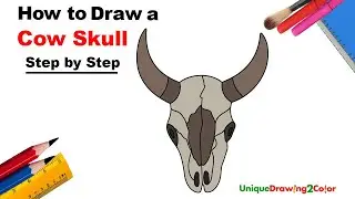 How to Draw a Cow Skull (Step by Step Drawing Tutorial)