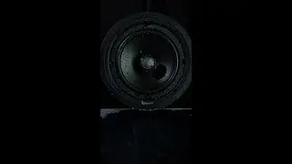 Phantom Element | TruAudio