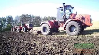 Четыре 744р3 с плугами ПЛН-8-40.