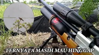 HARI INI BANYAK GANGGUAN // BERBURU TEKUKUR DIPOHON KEDONDONG