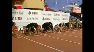 LiuXiang 13.01 2007