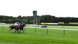 Haydock raceday visit with Autism in Racing - Henry backs a winner!