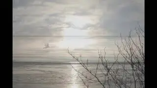 Kayah & Kwiat Jabłoni - Nie ma ...