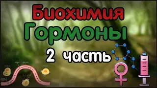 Биохимия. Лекция 25. Гормоны. 2 часть.