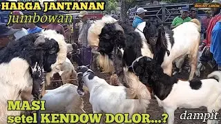 TERUPDATE HARI INI‼️HARGA KAMBING JANTAN JUMBOWAN MASI DIHARGA YANG SAMA DAMPIT TGL 23 NOV 2024
