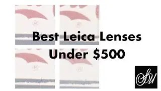 Best Leica Lenses Under $500