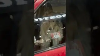 Кого мы увидели❤️🇷🇺