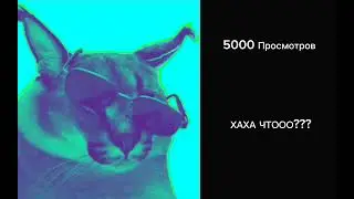 Какой вы мне сделаете актив: #реки #пельмени #шлепа #активвернись