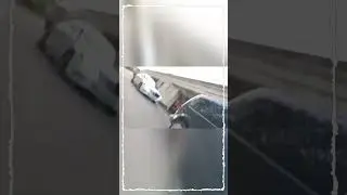 Пугачева минус домик!  #новости #шоубизнес #прикол