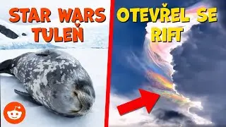 Spící tuleni dělají takové zvuky?! KeřDDDit
