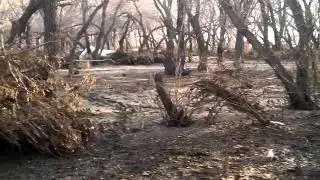 Посёлок Кокпекты (Огромные льдины)