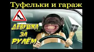 Баба за рулем - обезьяна с гранатой или 