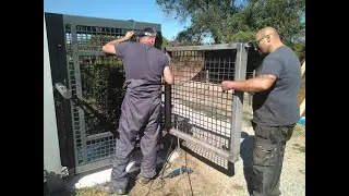 Construcción de un anexo para facilitar las pruebas veterinarias de los chimpancés rescatados