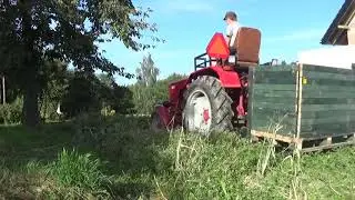 Wyrywanie buraków pastewnych 2020 ㋡ T25 & Skrzyniopaleta