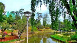 Ward Lake Shillong || Meghalaya || @Avi V