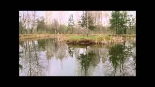 2014 04 13 Гретта пасет селезня в Зубачах
