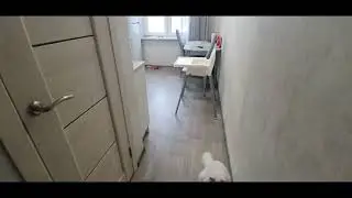 кухня до и после ремонта