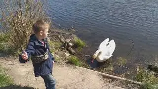 Svetl(5)