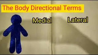 Body Directions: Improvised Model