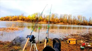 ОСІННІ КАРАСІ КЛЮЮТЬ ОДИН ЗА ОДНИМ ЯК З КУЛЕМЕТУ