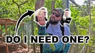 Multi-Country Animal Adventures (EPIC)