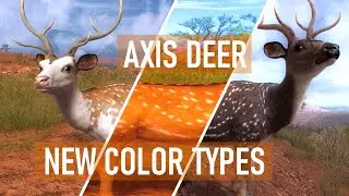 Axis Deer New Color Types - theHunter Classic