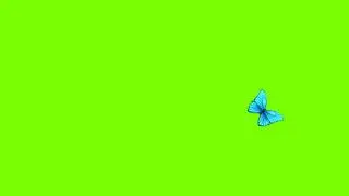 Green Screen Blue Butterfly video effects | Animated butterfly green screen