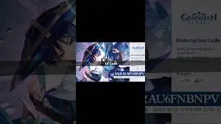 Genshin Impact V3.3 Primogems Codes 