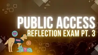 Sunshine the Service Dog in Training Does a Public Access Reflection Exam Part 3!