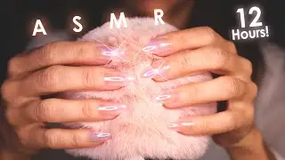 ASMR 100% Pure Deep Head Massage 😴 4k (12h hours No Talking)