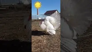 22 июня 2023 г.